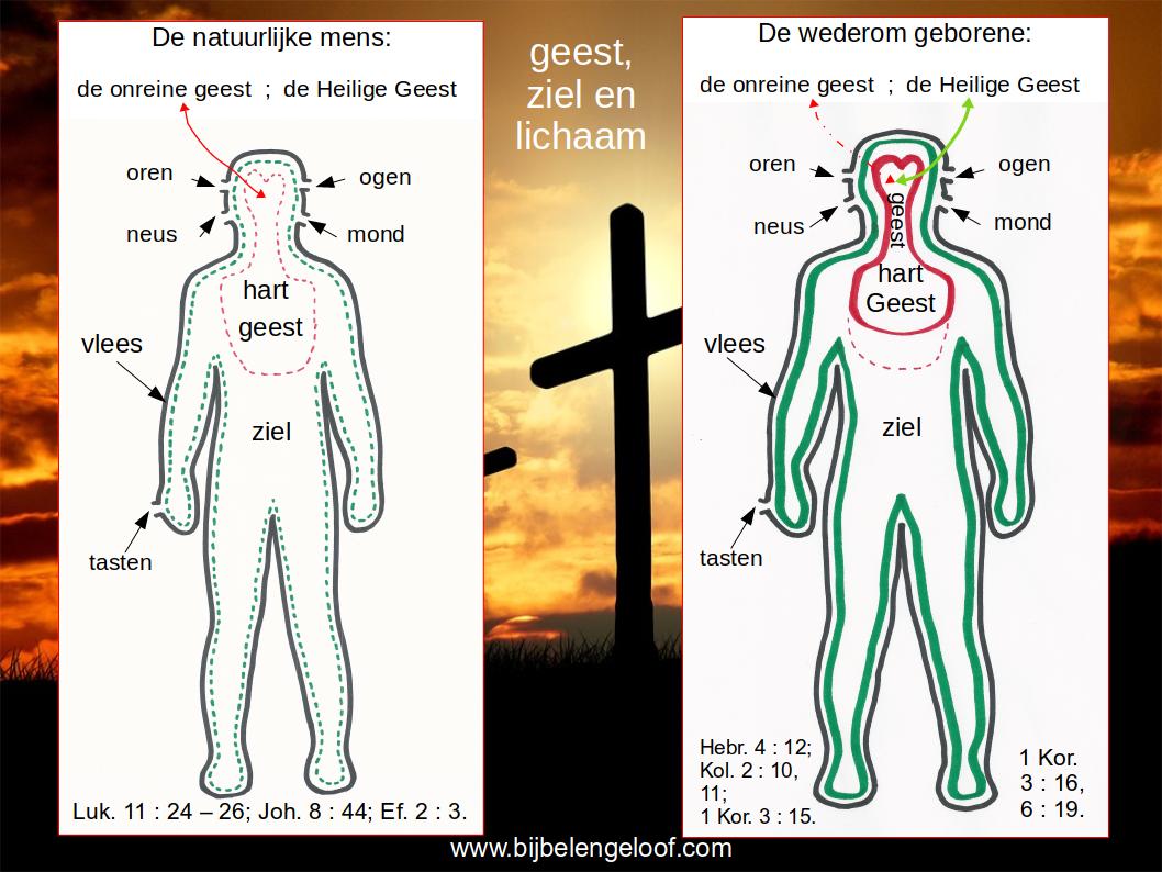 Geest, ziel en lichaam.